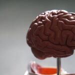 ¿Qué intoxica el cerebro?