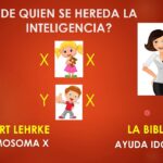 ¿Quién hereda la inteligencia a los hijos?