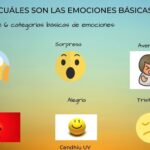 ¿Cuáles son las 6 categorias de las emociones?
